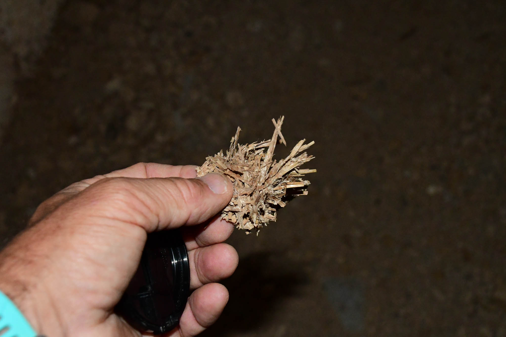 Grass from plastic bags